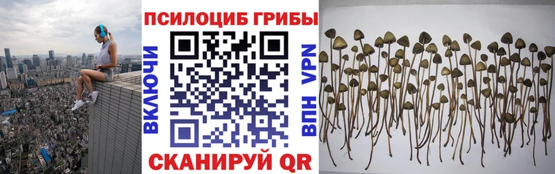 Псилоцибиновые грибы прущие грибы  Фатеж 